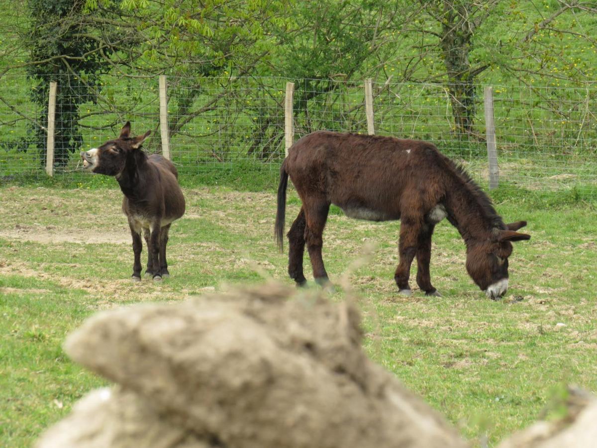 Domaine Des Fees Διαμέρισμα La Gaubretiere Εξωτερικό φωτογραφία