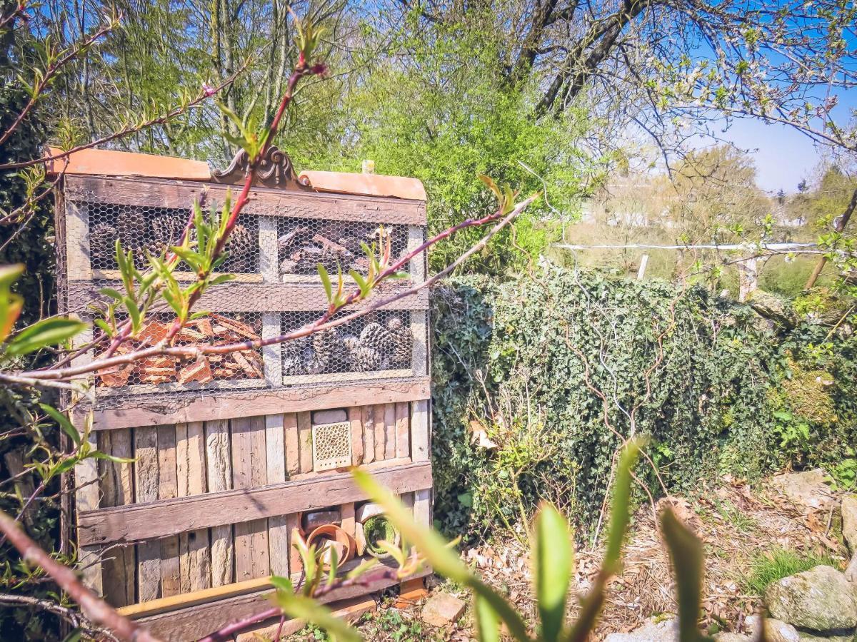 Domaine Des Fees Διαμέρισμα La Gaubretiere Εξωτερικό φωτογραφία