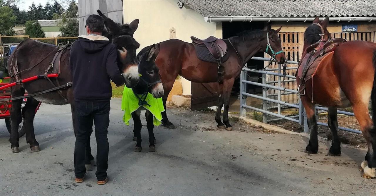 Domaine Des Fees Διαμέρισμα La Gaubretiere Εξωτερικό φωτογραφία